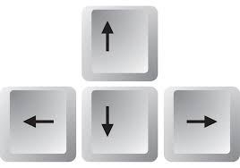 arrow keys - कंप्यूटर के इनपुट डिवाइस (Input Devices)