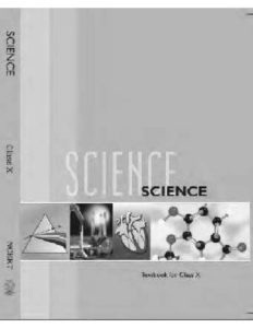 NCERT Class 10 Science pdf 232x300 - NCERT-Class-10-Science