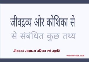 सामान्य परिचय एवं प्रकृति 300x212 - जीवद्रव्य सामान्य परिचय एवं प्रकृति
