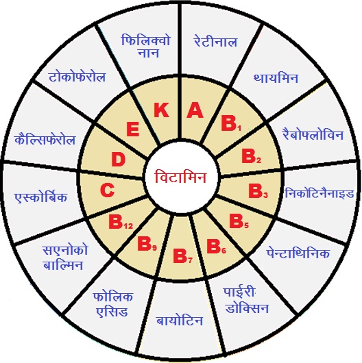 के रासायनिक नाम 3 - विटामिन के रासायनिक नाम