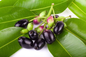 300x200 - जामुन