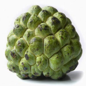 Custard apple 300x300 - Custard apple