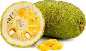 Jackfruit 300x177 - Jackfruit