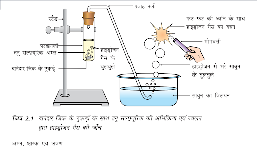 अम्ल क्षार एवं लवण