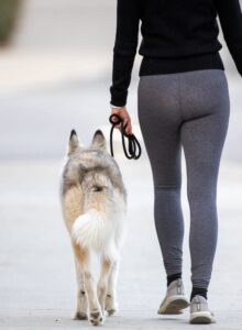 ona promo box 2 220x300 - ona_promo_box_2