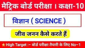 जनन कैसे करते हैं 300x169 - जीव जनन कैसे करते हैं