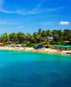 246x300 - गोवा